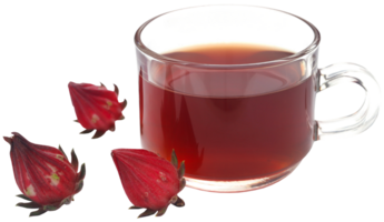 roselle thé avec Frais fruit png