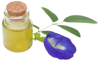 Clitoria ternatea with extract in a bottle png
