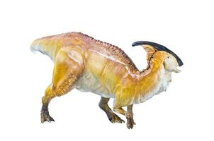 Parasaurolophus  dinosaur isolated background photo