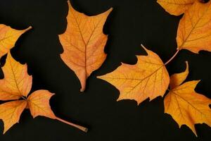 otoño antecedentes con de colores hojas. ai generativo Pro foto