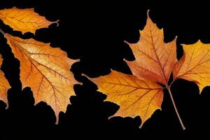 otoño antecedentes con de colores hojas. ai generativo Pro foto