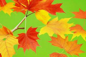 otoño antecedentes con de colores hojas. ai generativo Pro foto
