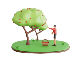 colheita maçã frutas 3d ilustração. pessoas colheita maçãs dentro jardim. colheita maçãs a partir de árvore para cesta. 3d ilustração png