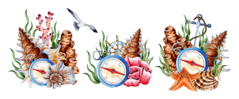 un' impostato di acquerello illustrazioni di un' bussola, alghe, coralli, stella marina e conchiglie. tropicale marino clipart. composizione per il design di souvenir, cartoline, manifesti, striscioni, menu, etichette png