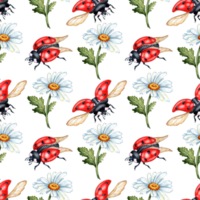 Pattern of white daisies and red ladybugs isolated. Botanical illustration. Great pattern for kitchen, home decor, stationery, wedding invitations and clothing printing. png