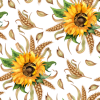 acuarela floral ilustración. modelo ramo de flores de girasoles y orejas de trigo aislado. diseño para publicidad, cerveza festival, embalaje, etiqueta, cosecha festival. png