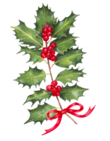 Holly branch with red berries and a red bow. Botanical illustration for holiday decoration. Christmas, New Year.Modern element for card, banner. paper, wallpaper. Isolated handmade art. png