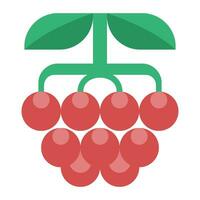 berry flat icon,vector and illustration vector