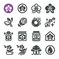 orchid icon set,vector and illustration vector