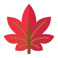 maple leaf flat icon,vector and illustration vector