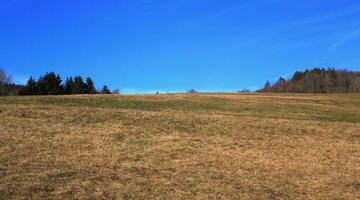 Landscape with grass and blue sky photo