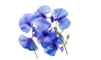 ai généré iris fleur bouquet bleu isolé png