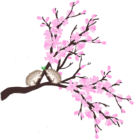 sakura tree branch png