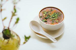 Homemade tomato soup in a white bowl with saucer. Side view isolated on a white background. photo