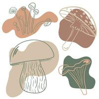 Mushroom set of vector illustrations isolated on white. White mushroom, chanterelles, honey agarics, mushrooms, fly agarics, morels. Cartoon style.