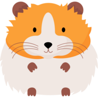 Cute rodent hamster png