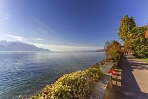 Plants and flowers on the lakeside of Geneva Leman lake at Montreux, Switze photo