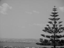 tunis at the mediterranean sea photo