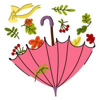 Autumn pink umbrella with autumn leaves, berries inside. Foliage falls into an umbrella isolated on a white background. Vector flat illustration of autumn weather. Sticker, postcard, sublimation