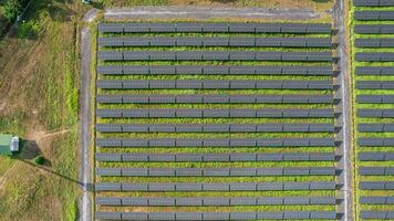 solar poder granja desde zumbido ver,verde energía tecnología foto