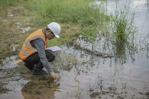 Environmental engineers inspect water quality,Bring water to the lab for testing,Check the mineral content in water and soil,Check for contaminants in water sources. photo