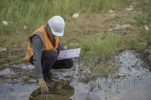 Environmental engineers inspect water quality,Bring water to the lab for testing,Check the mineral content in water and soil,Check for contaminants in water sources. photo