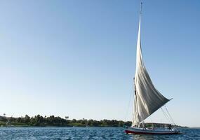 Feluka sailing on Nile river. Egypt photo