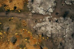 Top view of a dry field with small areas of blooming greenery photo