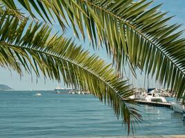 la spezia at the mediterranean sea photo