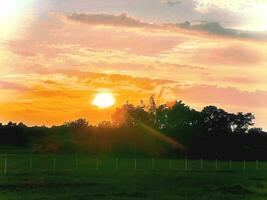 As the sun gracefully dips below the horizon, nature dons its evening gown. The sky blazes with hues of amber and lavender, the world bathed in a tranquil, golden embrace. photo