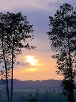 Lost in nature is enchantment, where each sunrise paints the sky anew, the wind is whispers tell ancient tales, and every leaf dances to life is hidden rhythm. photo