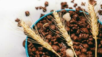 chocolate cereal en azul cuenco en blanco antecedentes. copos de maíz. desayuno concepto. comida adecuado para niños. foto