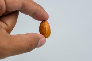 cerca arriba de almendra. mano participación almendra aislado en blanco antecedentes. foto