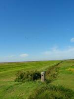 la isla de langeoog foto