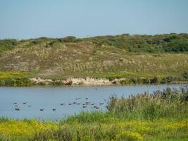 the island of Langeoog photo