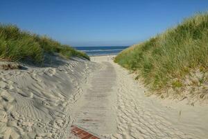 Langeoog island in germany photo