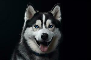 playful dog perfect face and eyes highly detailed AI Generative photo