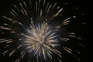 a large firework in the night sky photo