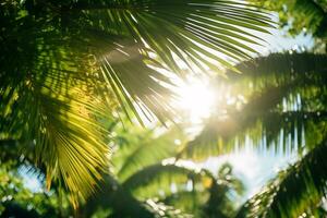 AI Generative Image of sunny tropical landscape photo