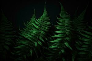 Fern leaves on a dark background. AI generated photo