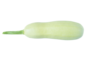 Grün Zucchini auf ein transparent Hintergrund png