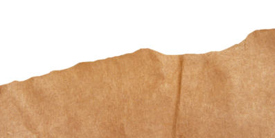 Torn paper piece on transparent background. Ripped paper label png. png