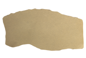 Torn paper piece on transparent background. Ripped paper label png. png