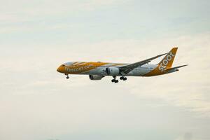 Bangkok, Thailand - August 26, 2023 Flyscoot Airways prepare for Landing at Suvarnabhumi Airport, Thailand photo