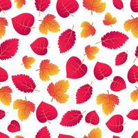 Autumn seamless background with maple colorful leaves. Design for fall season posters, wrapping papers and holidays decorations. Vector illustration