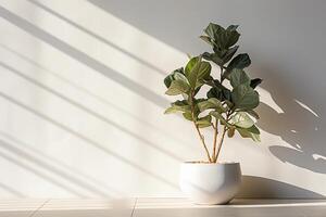 Fiddle Leaf Fig Plant in Pot AI Generative photo