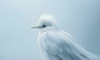 Bird World On A Minimal Background. AI Generated. Free Photo. photo