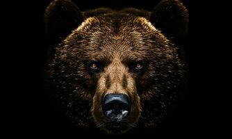 Animal World On A Minimal Background, Bear. AI Generated. Pro Photo. photo