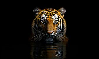 Animal World On A Minimal Background, Bengal Tiger. AI Generated. Pro Photo. photo