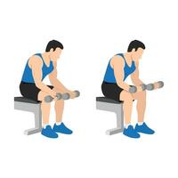 Man doing seated dumbbell palm up wrist curls or forearm curls vector
